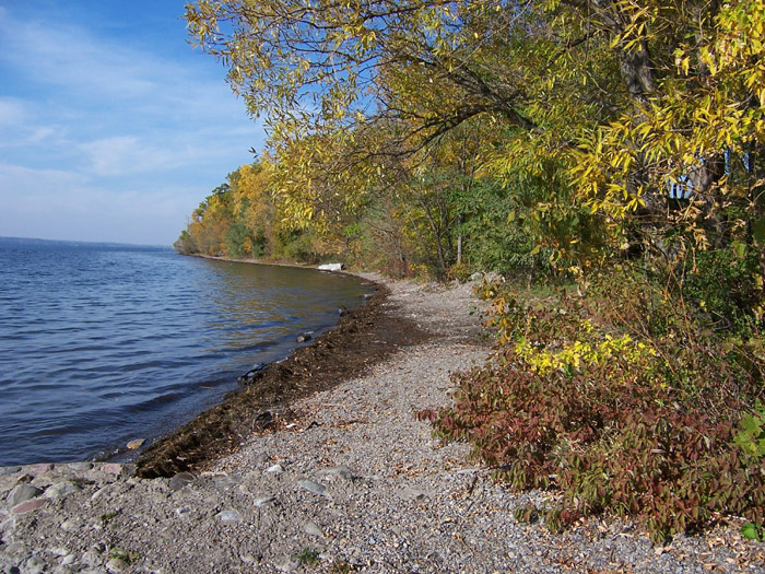 Finger Lakes NY - Lodie Point State Park, Seneca Lake