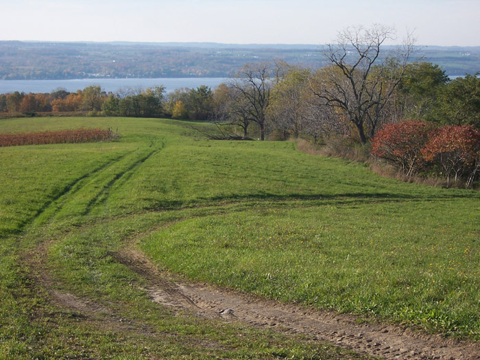 Seneca Lake