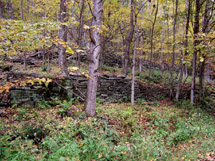 Meliora 2006