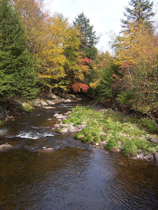John Davis Branch