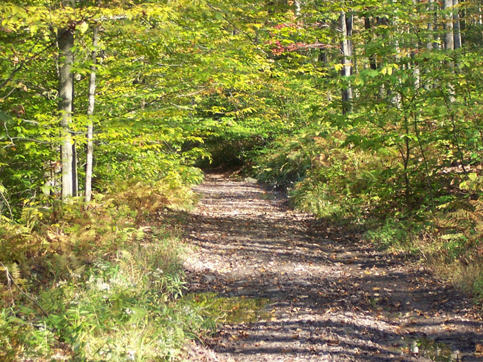 boonies