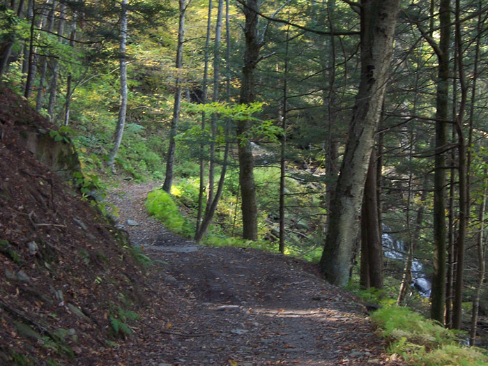 waterfall in the boonies