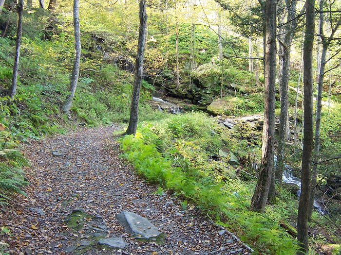 waterfall in the boonies