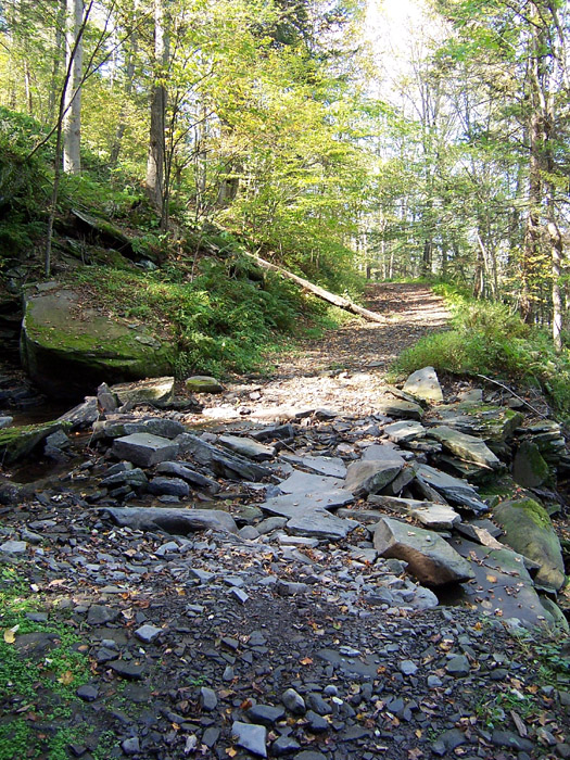 waterfall in the boonies