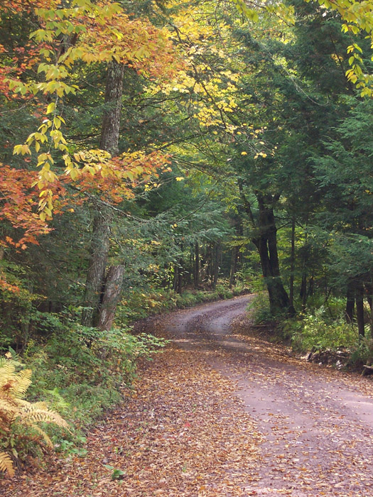 John Davis Branch Rd