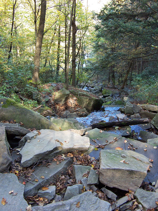 waterfall in the boonies