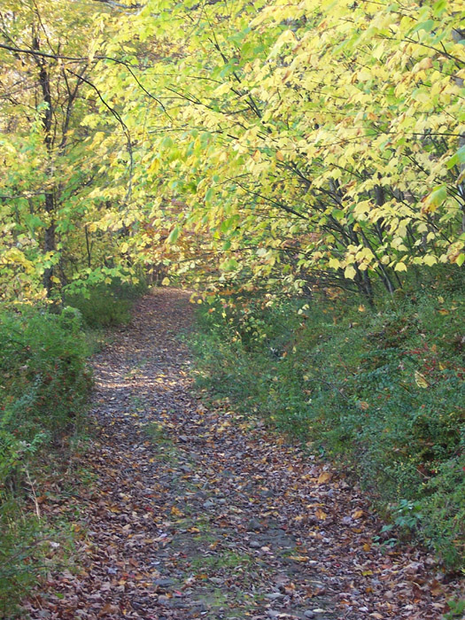in the boonies