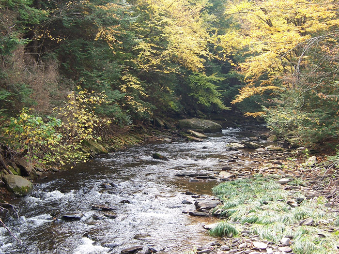 John Davis Branch