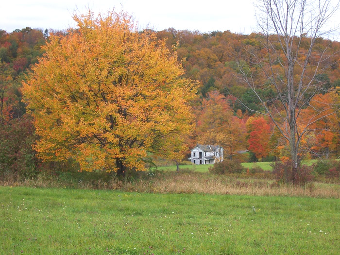 abandoned farmhouse