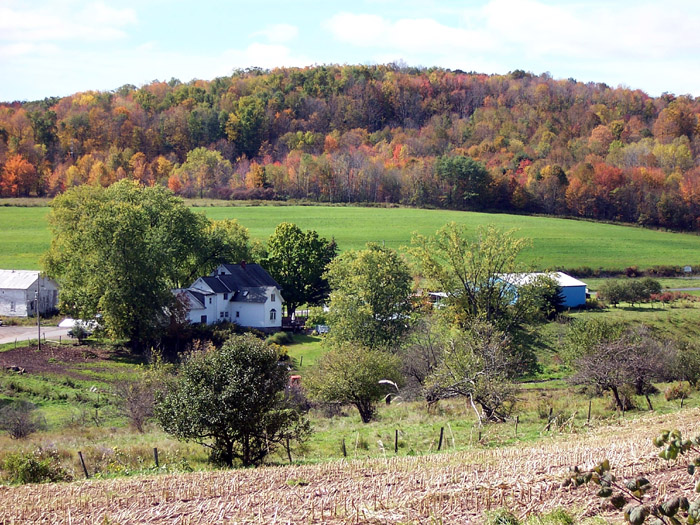 farm along White Store Rd.