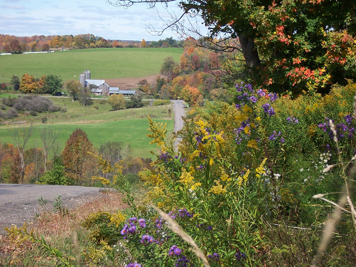 along Wells Rd