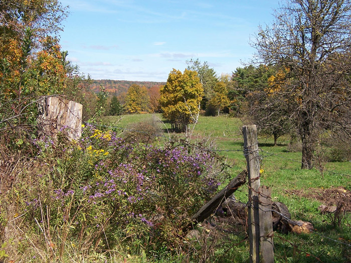 along Wells Rd