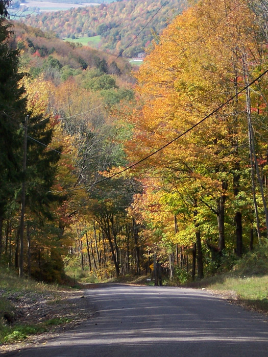 hwy 23
