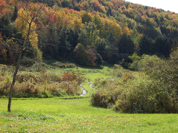 Pleasant Valley Rd