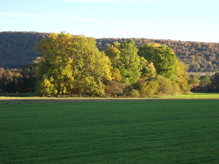 Hwy 80 near New Woodstock, NY