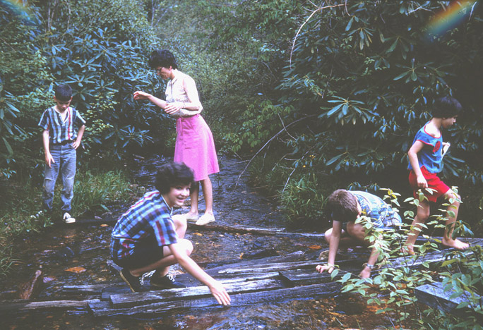 Ashe, Watauga Counties