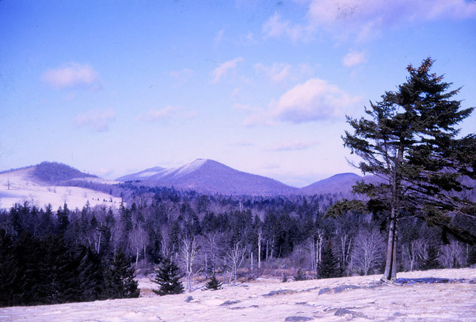 Ashe, Watauga Counties