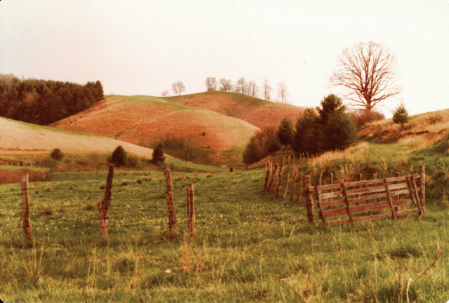 Piney Creek, NC