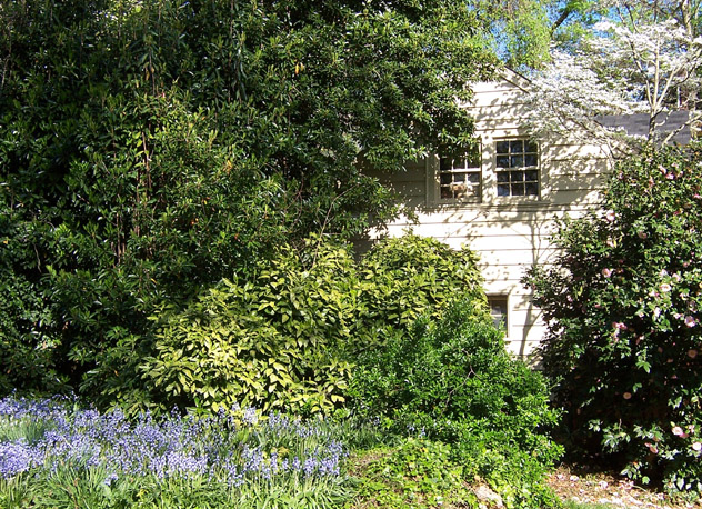 The Garage in the Backyard