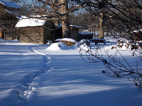 Vale, NC - Jan. 2010