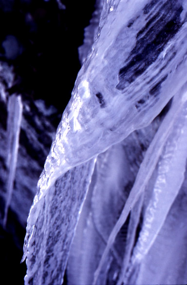 ice sculpture