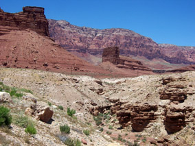 click to enlarge