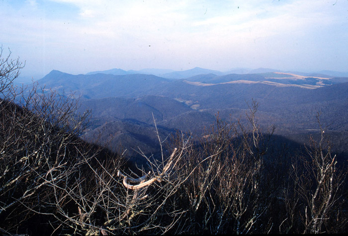 Elk Knob Park Area