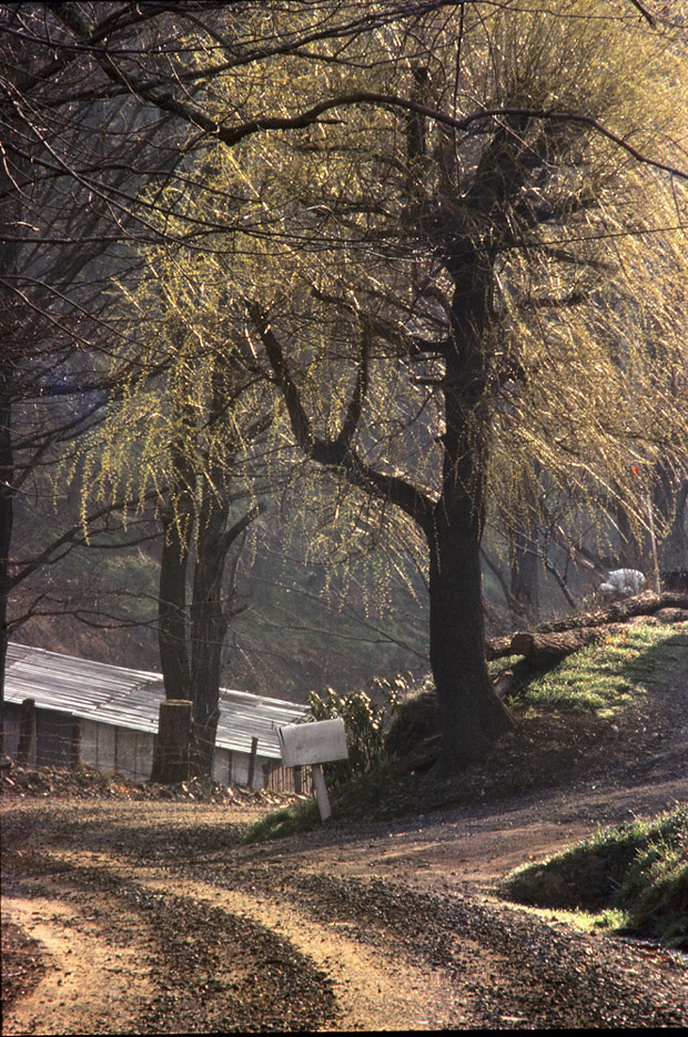 Elk Knob Park Area