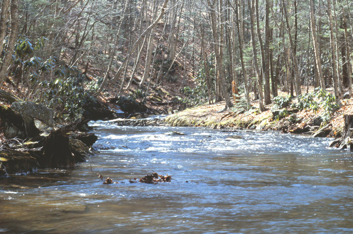 Elk Knob Park Area