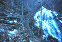 Elk Knob