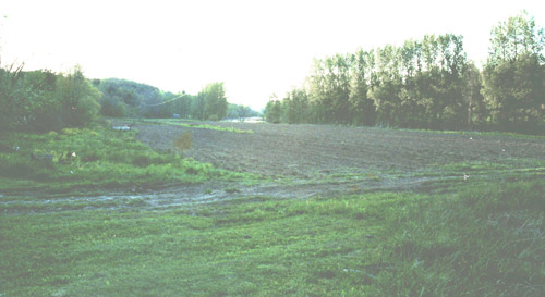 River Bottom