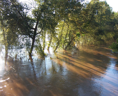Flood Stage