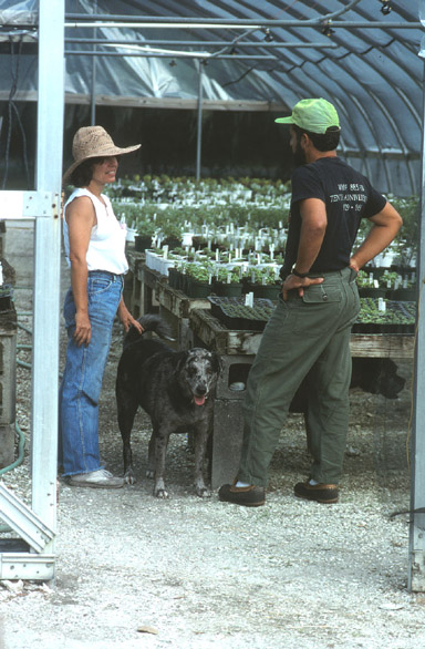 Inspections