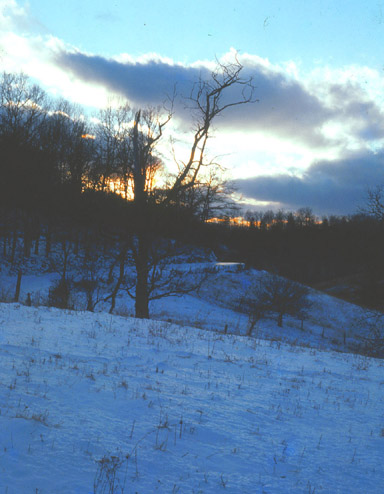 Twilight