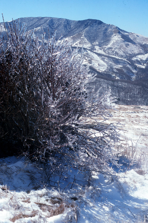 Elk Knob Park Area