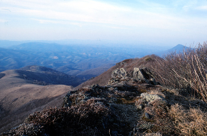Elk Knob Park Area