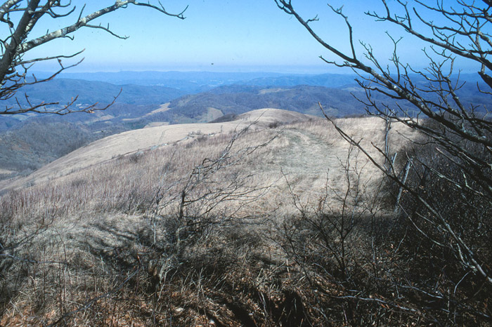 Elk Knob Park Area