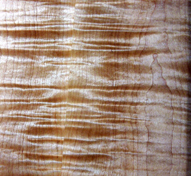 Curly Maple