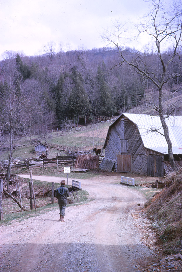 Springhouse Farm