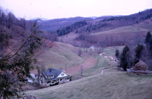 Springhouse Farm
