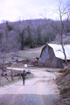 Springhouse Farm
