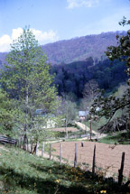 Springhouse Farm
